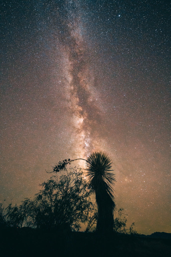Arizona Skies