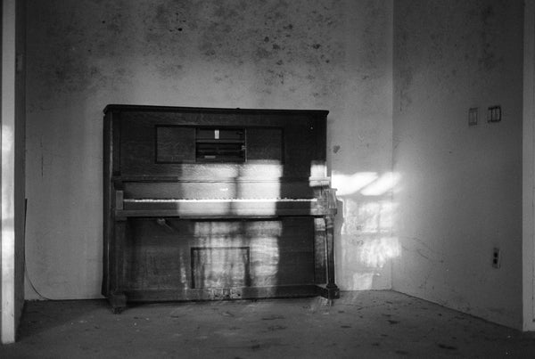Ilford HP5 Plus - 120