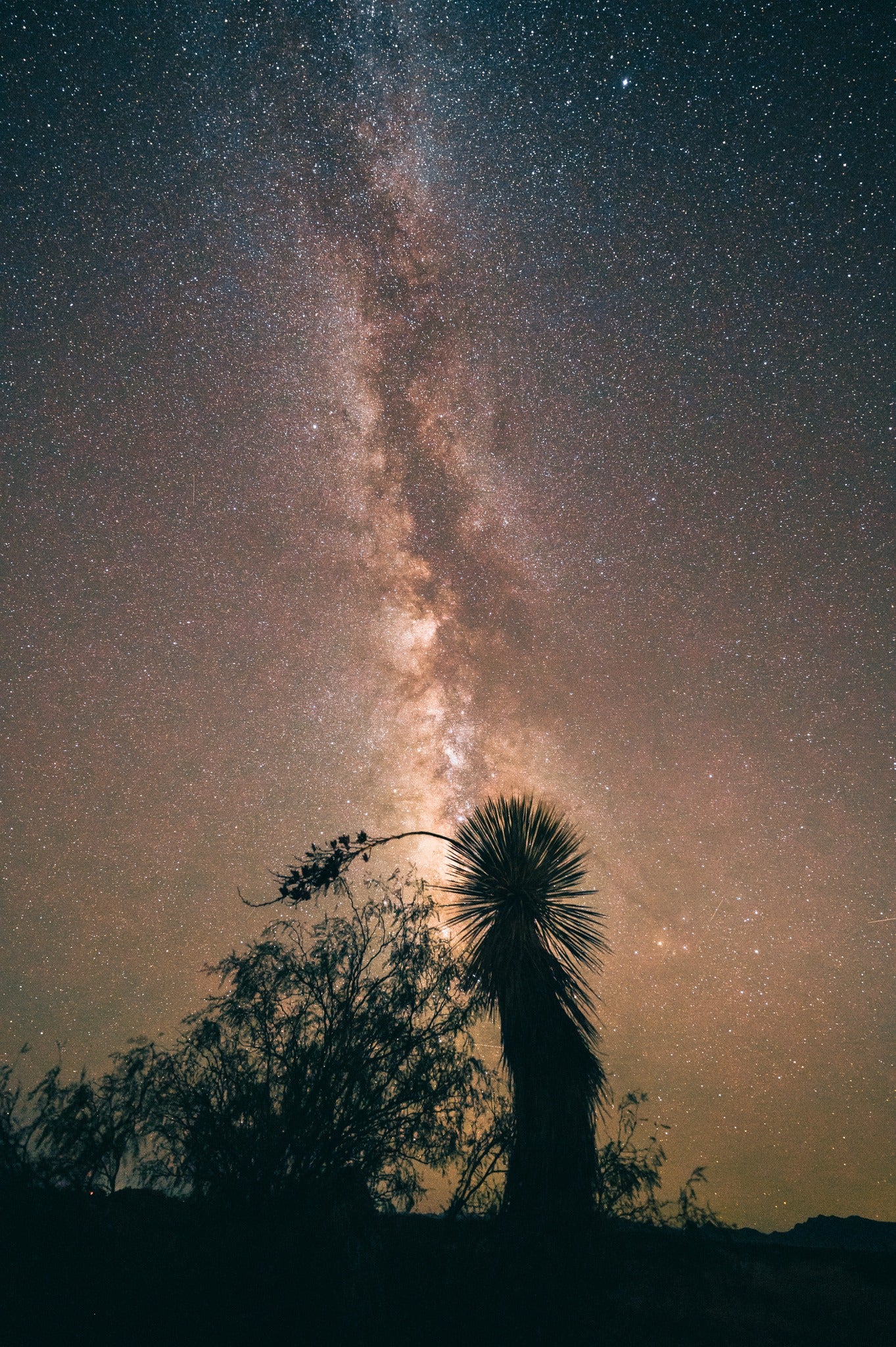 Arizona Skies