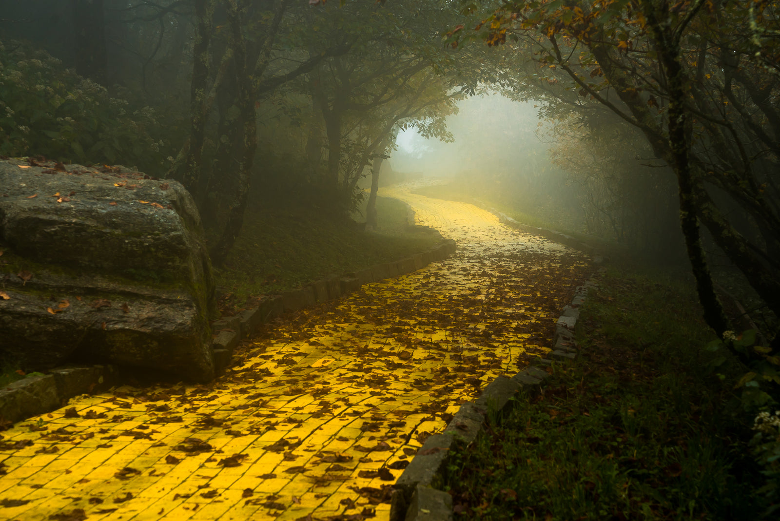 Follow Through the Fog