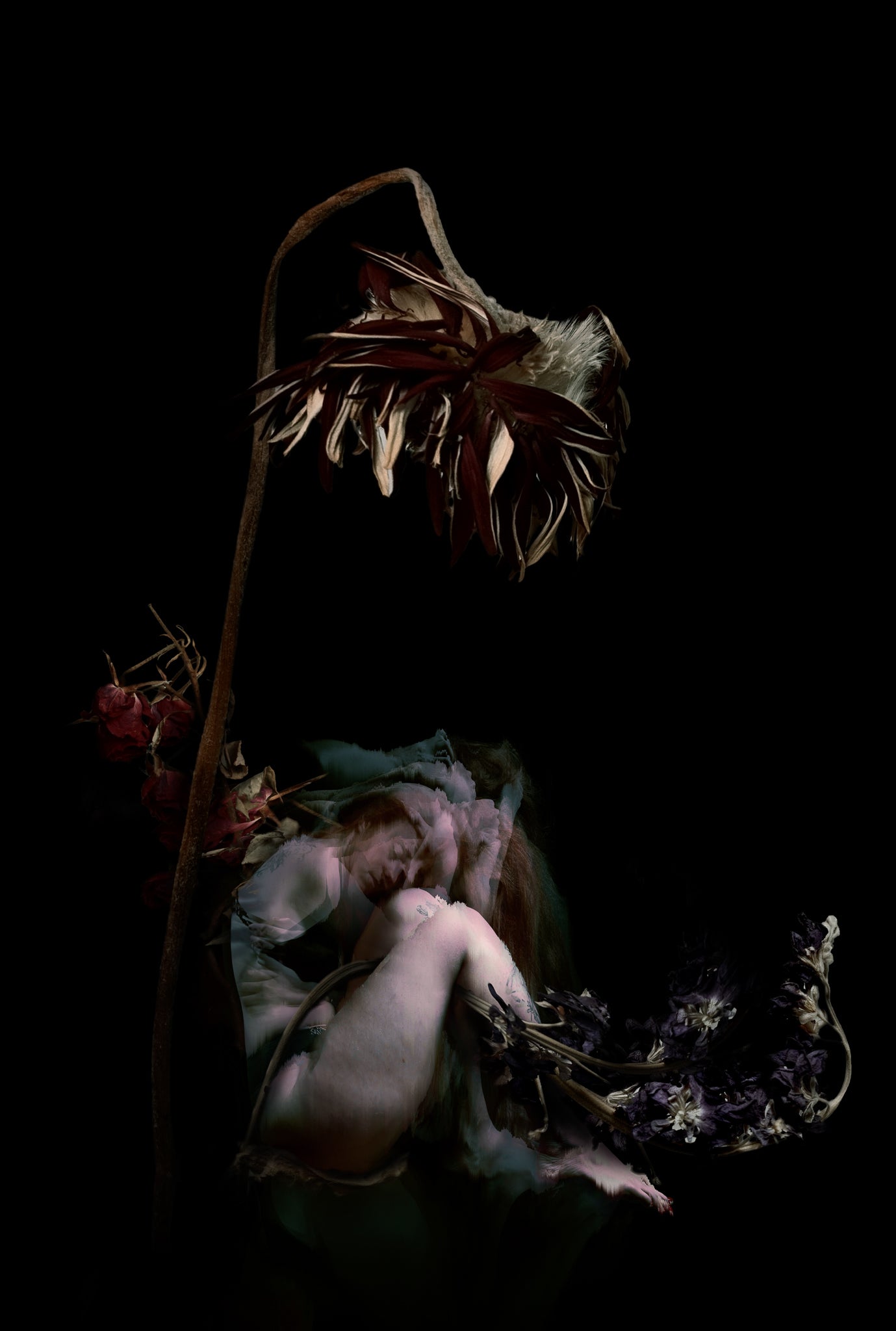 Emergence