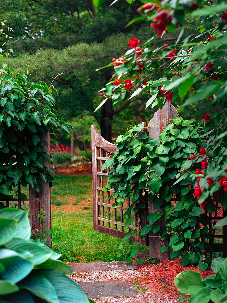 gate in the garden at Holden Arboretum in Kirtland, Ohio