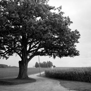 120 Film Scanning