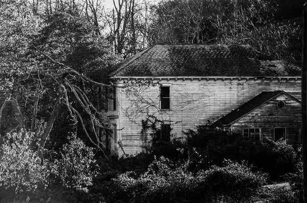 Ilford HP5 Plus - 120