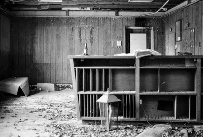 Ilford HP5 Plus - 35mm
