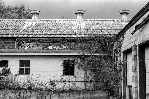 Ilford HP5 Plus - 120
