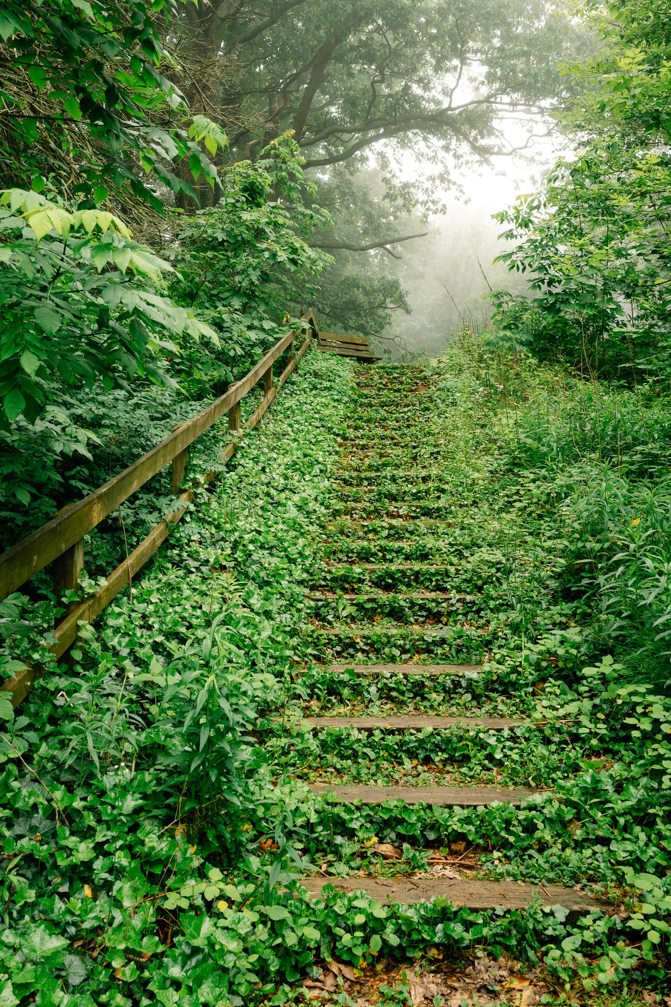 Morning at Lakeshore