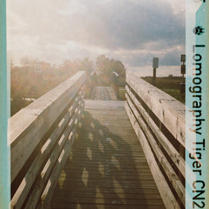 110 Film Scanning
