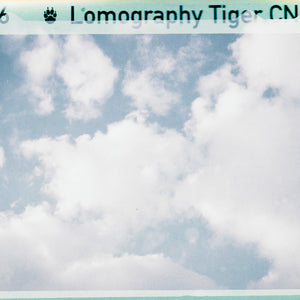 110 Film Scanning