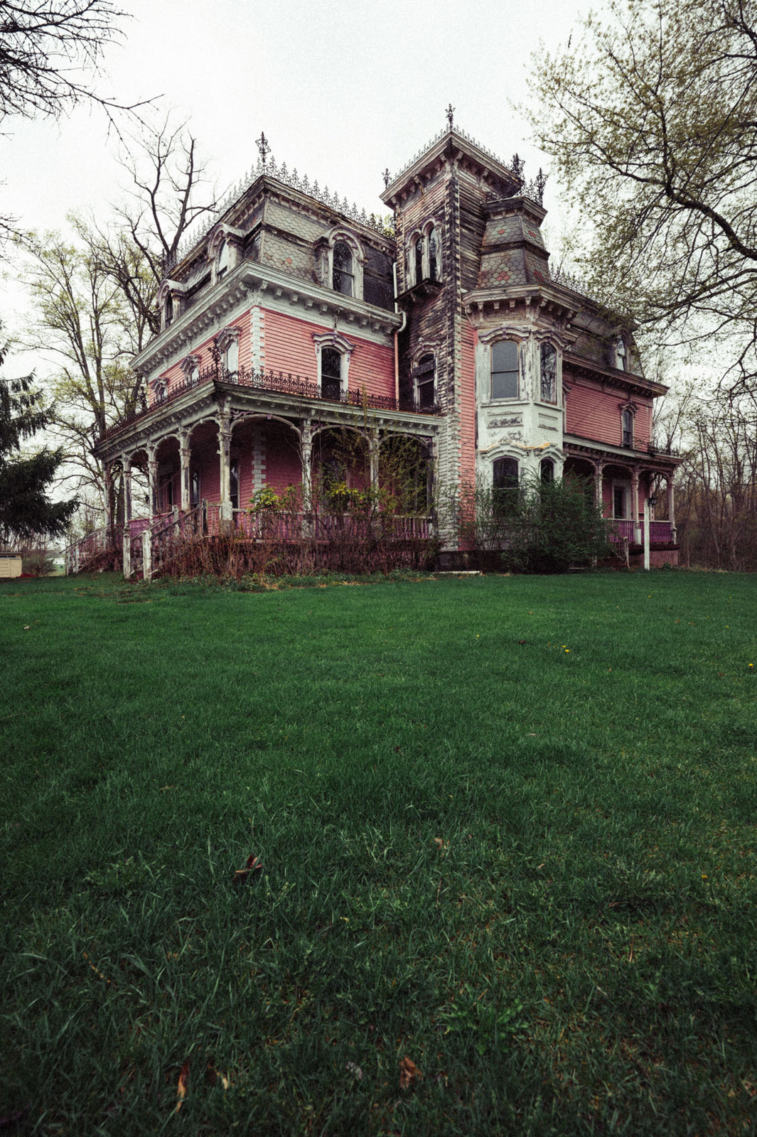 The Pink House - Odd World Studio