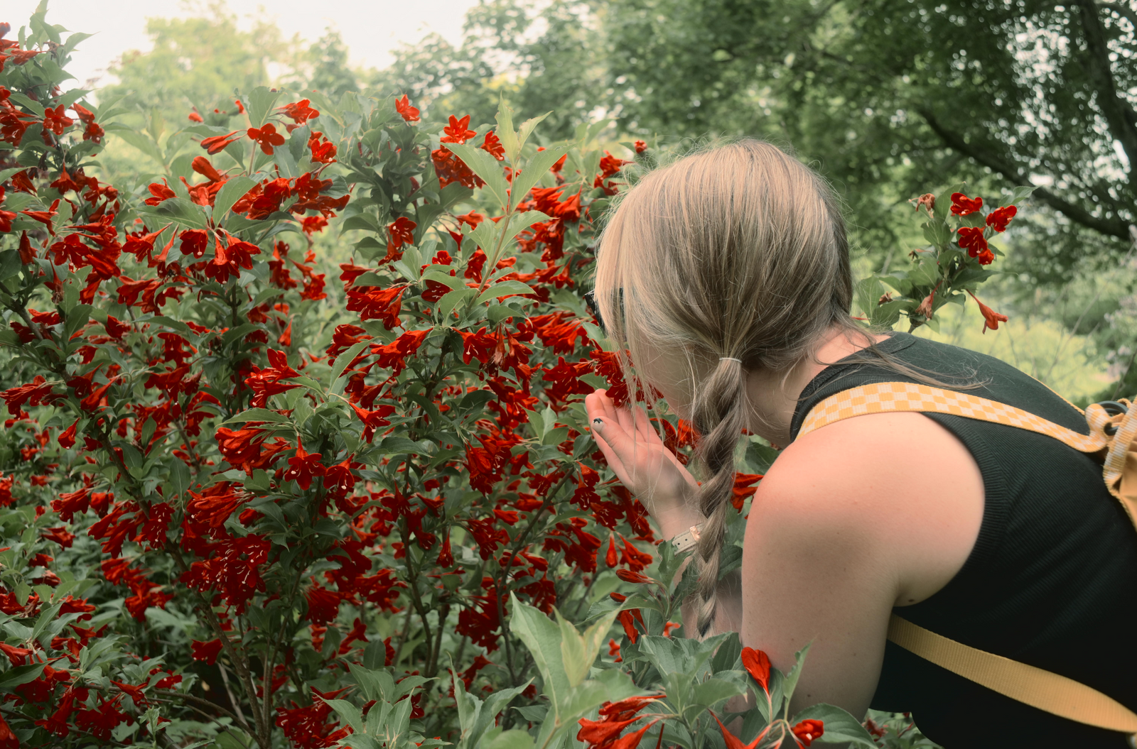 Nikon Flexible Color Set 1