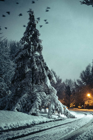 Across Days - 2023-2025