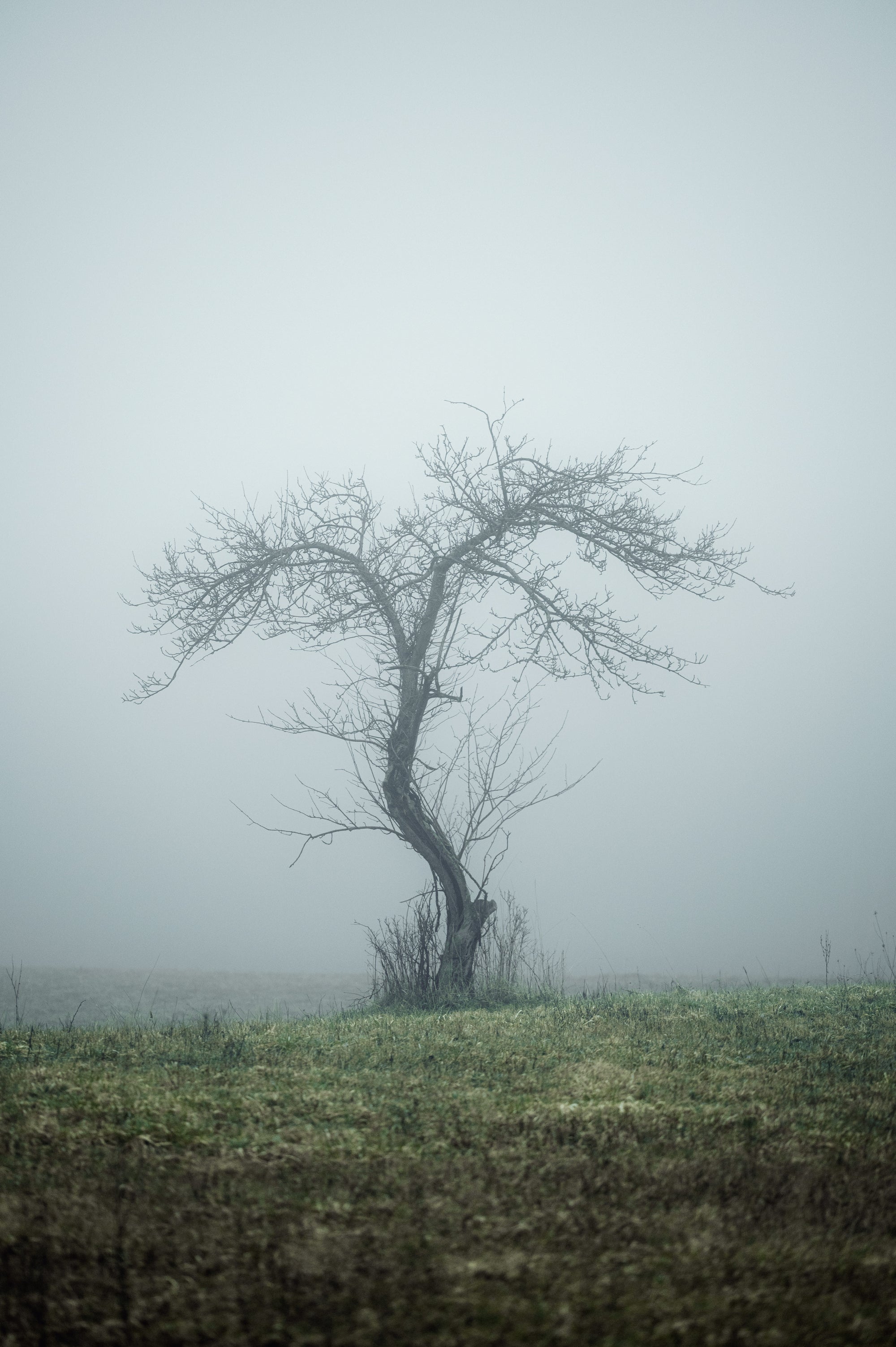 Across Days - 2023-2025