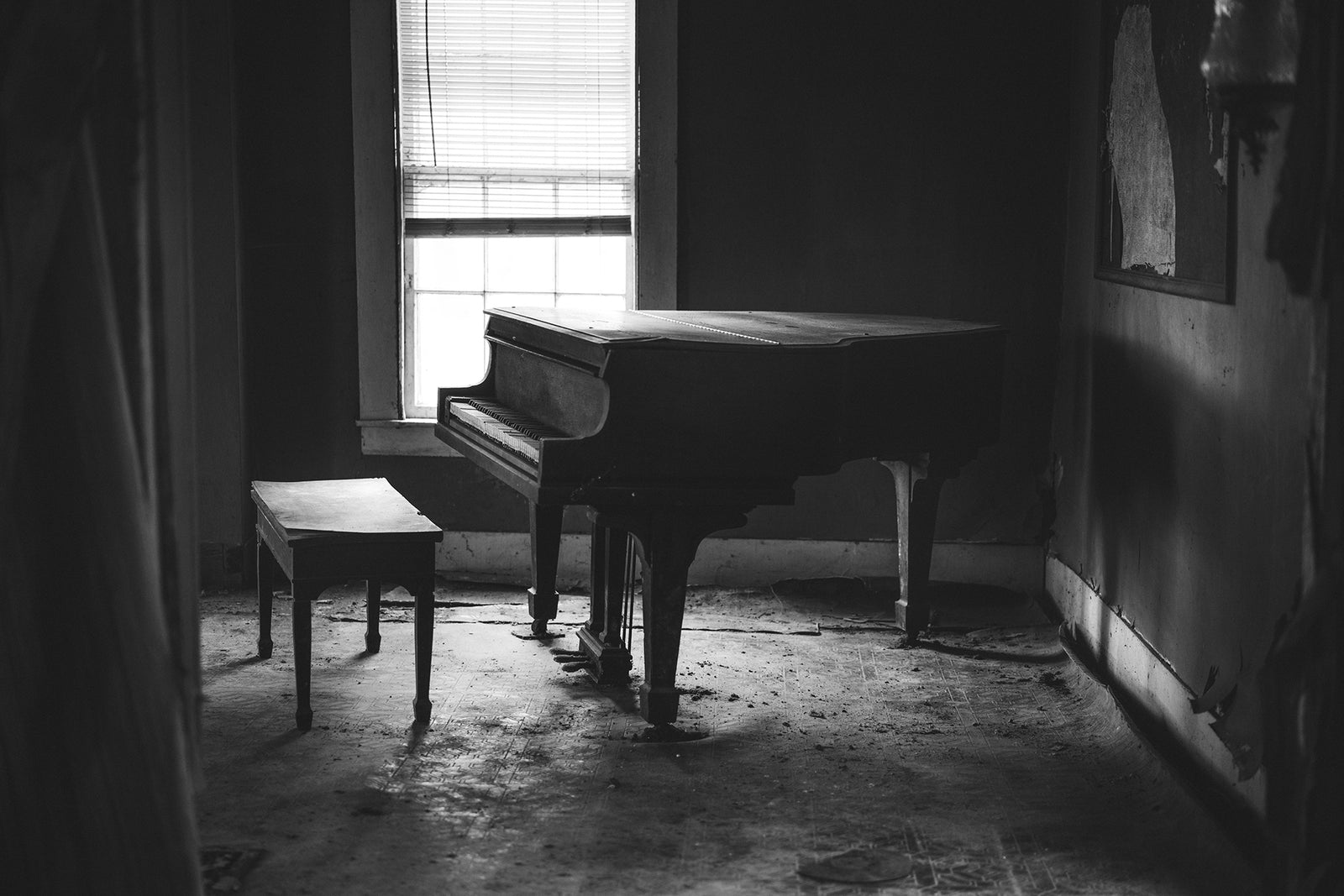 Silence in the Summer - Odd World Studio