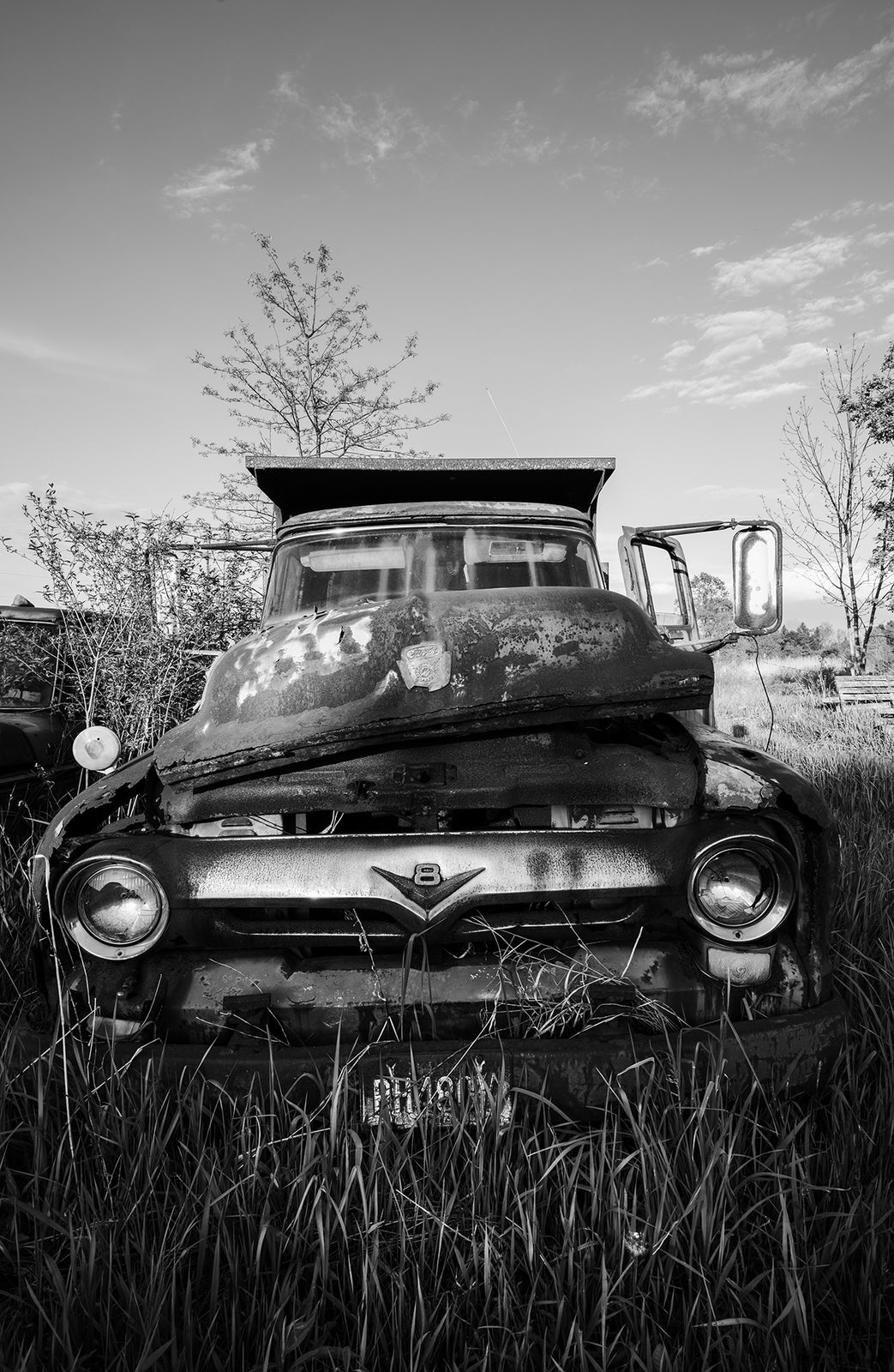 Ford in a Field - Odd World Studio