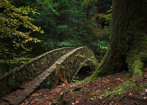 Old Man's Bridge