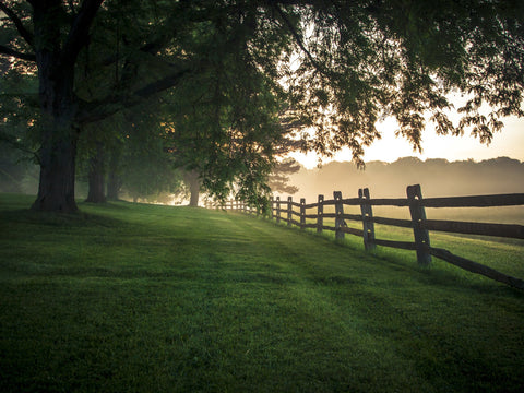 Morning Haze