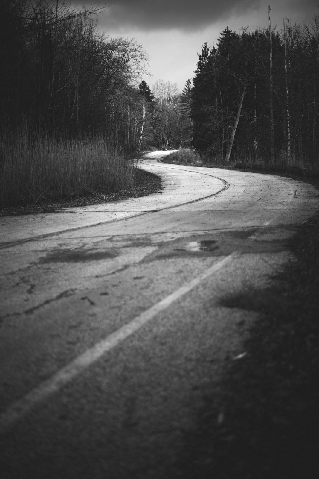 No Longer Traveled - Odd World Studio