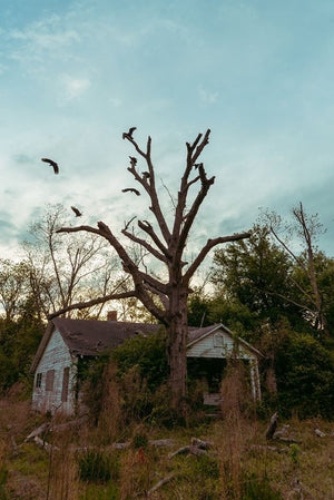 Midwest Emo Lightroom Preset Pack