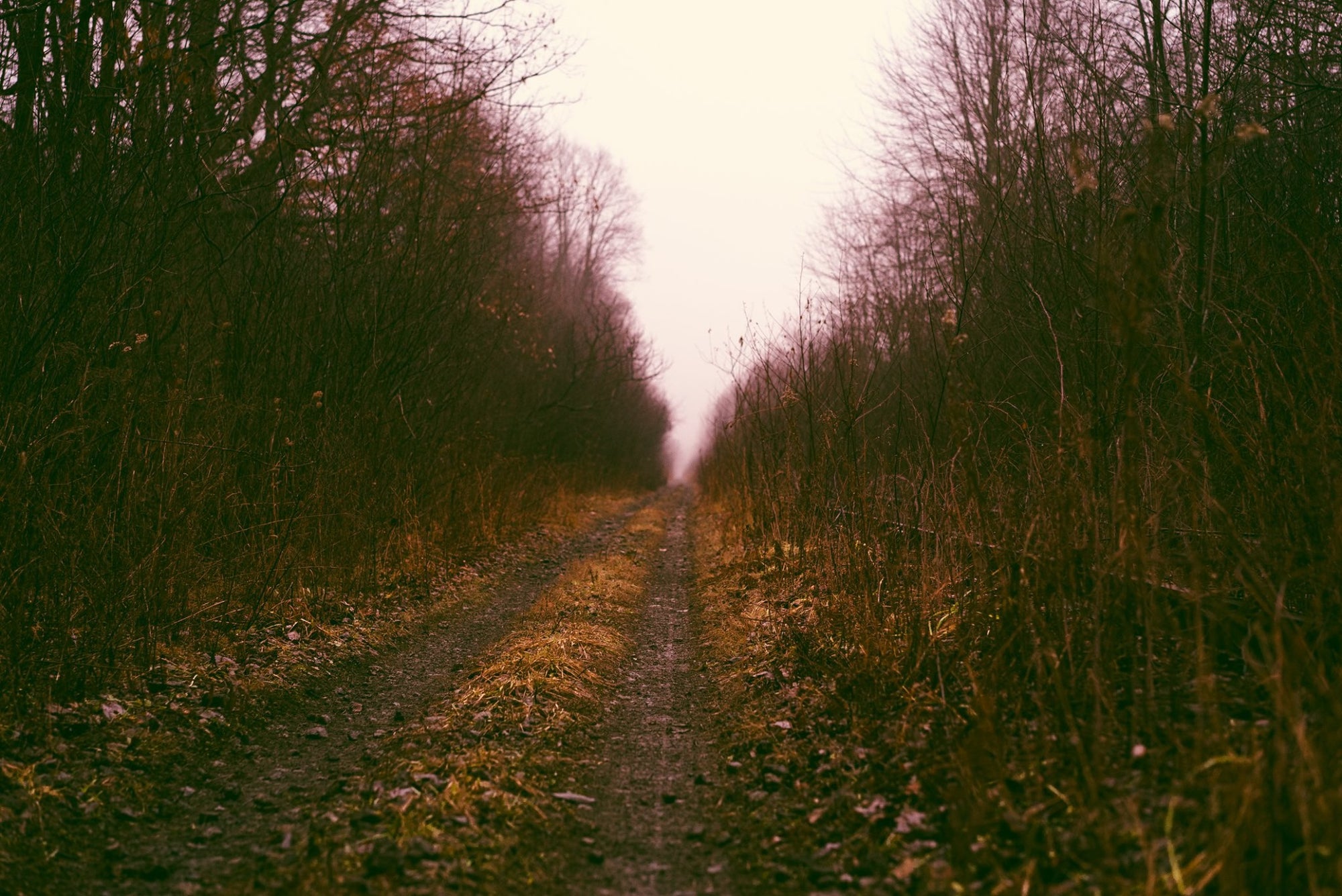 Midwest Emo Lightroom Preset Pack
