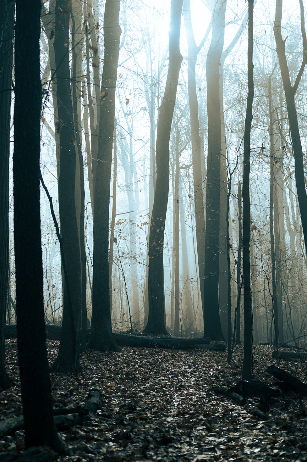 Johnny Joo Lightroom Presets - Full Collection
