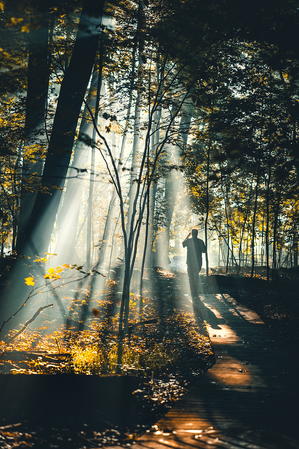 Johnny Joo Lightroom Presets - Full Collection