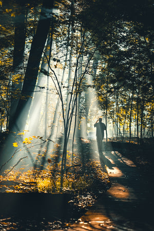 Johnny Joo Lightroom Presets - Full Collection