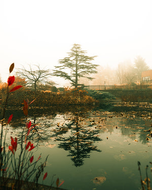 Johnny Joo Lightroom Presets - Full Collection