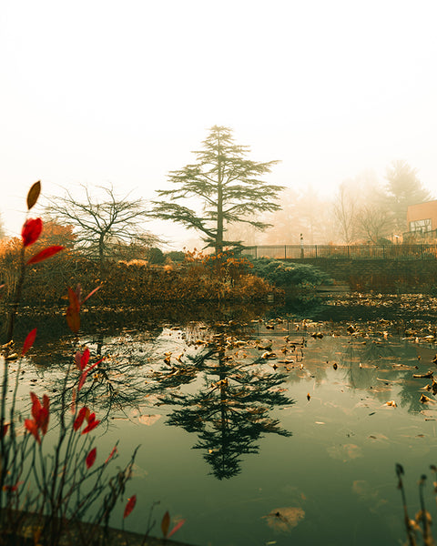 Johnny Joo Lightroom Presets - Massive Collection