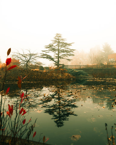 Johnny Joo Lightroom Presets - Massive Collection