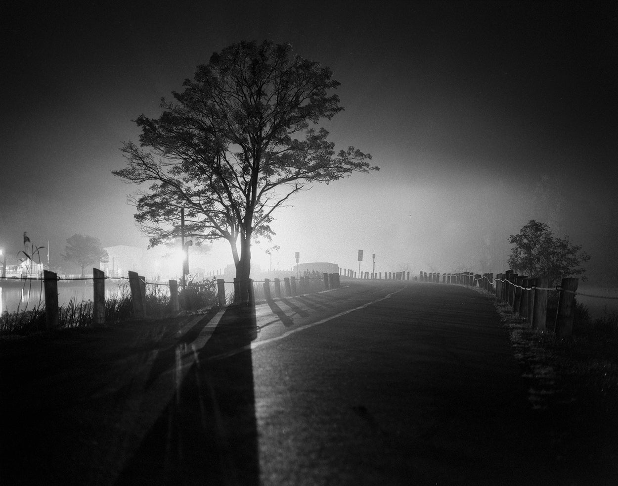 Night At The Lagoons