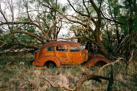Texas Rust