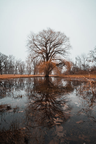 Johnny Joo Lightroom Presets - Massive Collection