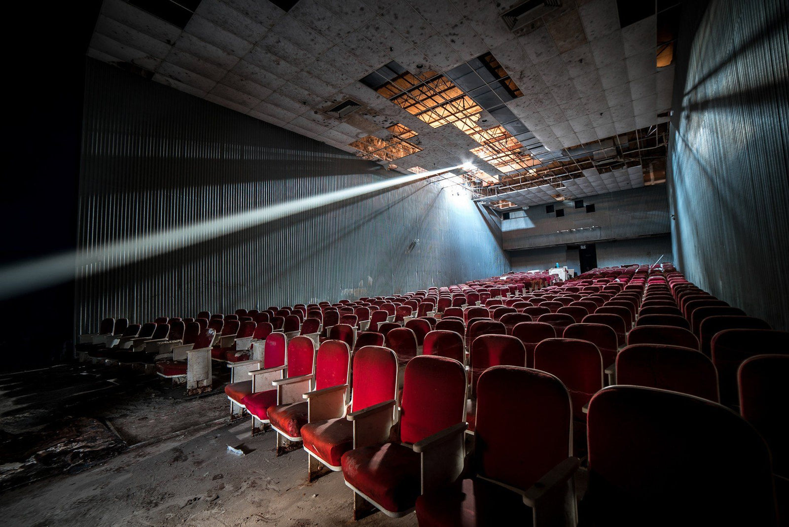 Audience of None Prints Johnny Joo